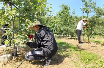 메인사진