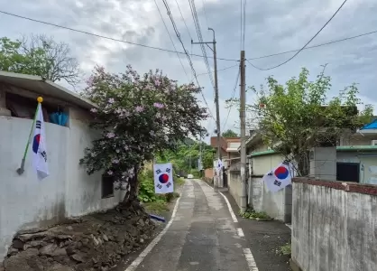 메인사진